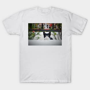 Cat, A View of Greece T-Shirt